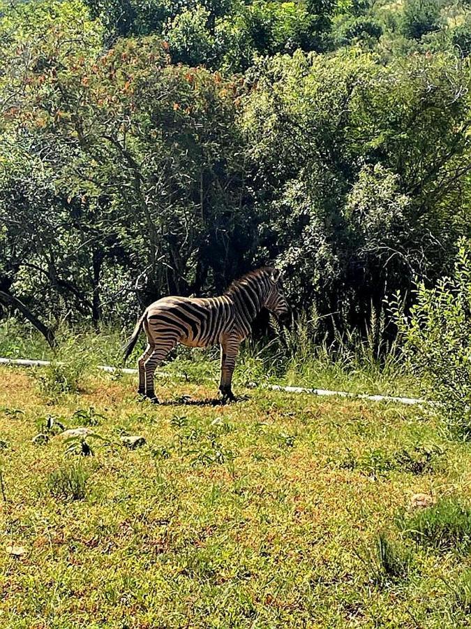 Apartament 66 Sharalumbi Wildlife Estate Lydenburg Zewnętrze zdjęcie